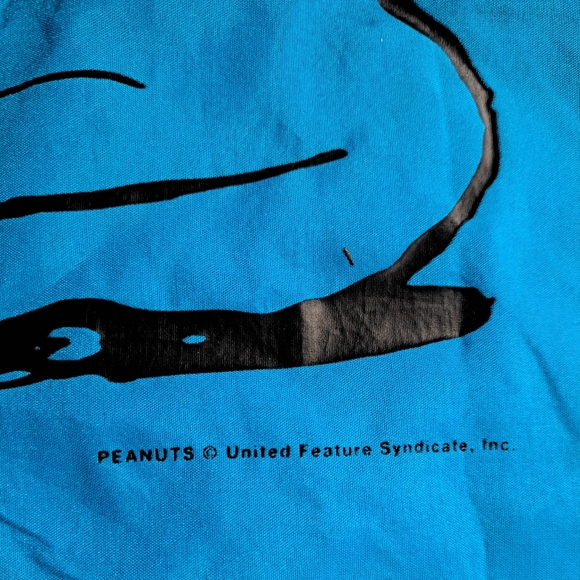 Snoopy Blue Zipper Closure Dog Bed Pillowcase. - Picture 5 of 10